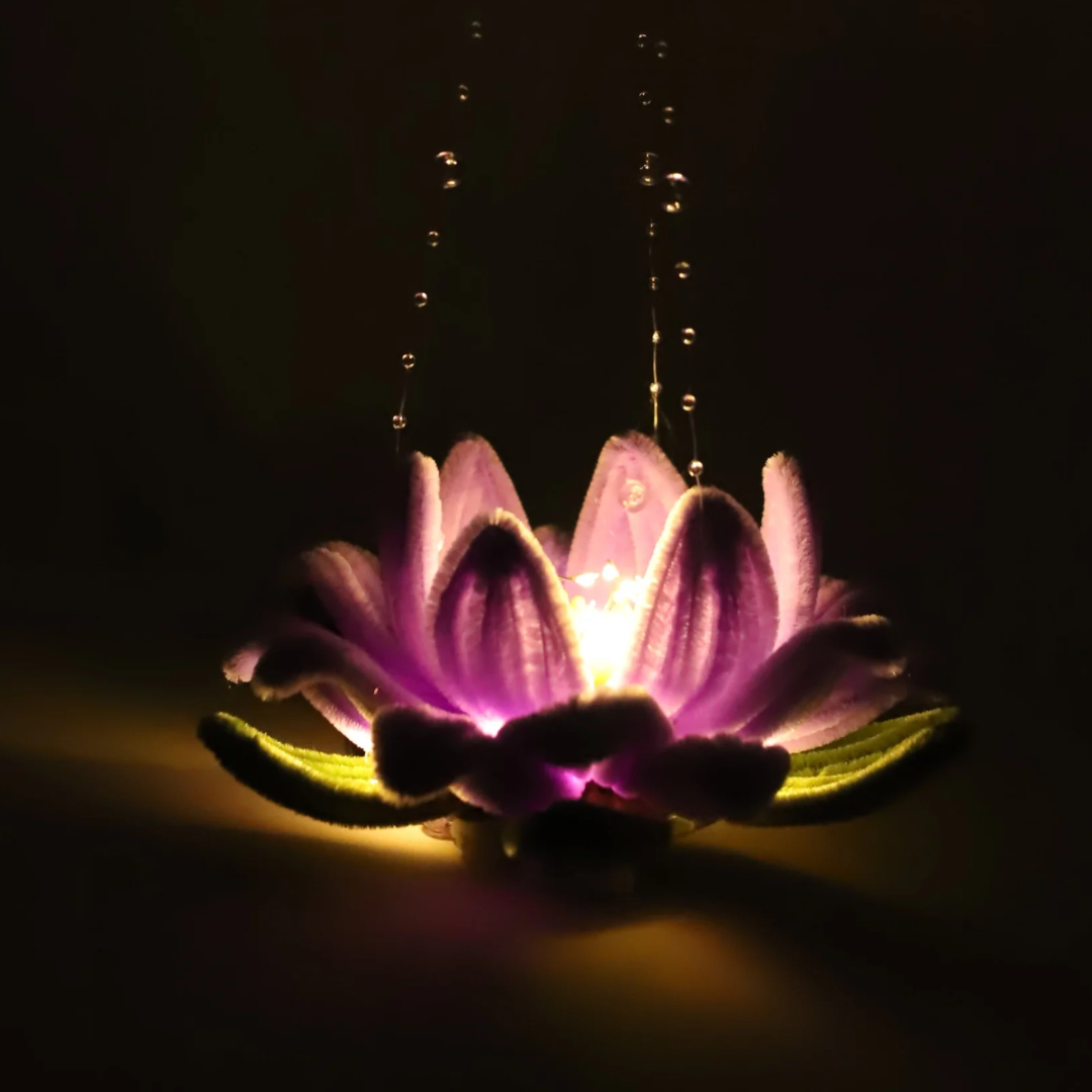 Lotus Tutorial