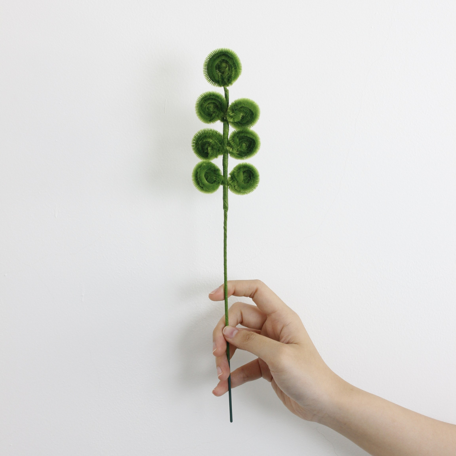 Silver Dollar Tutorial