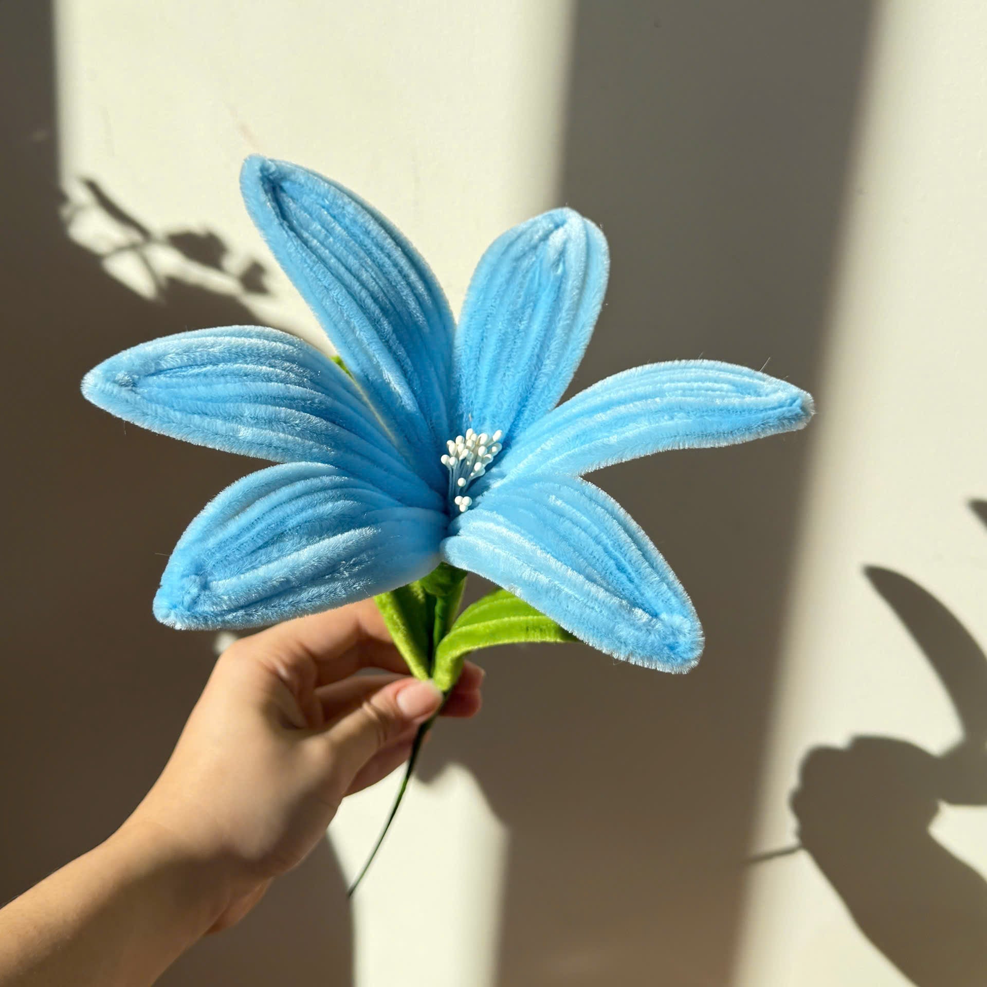 Lily Tutorial