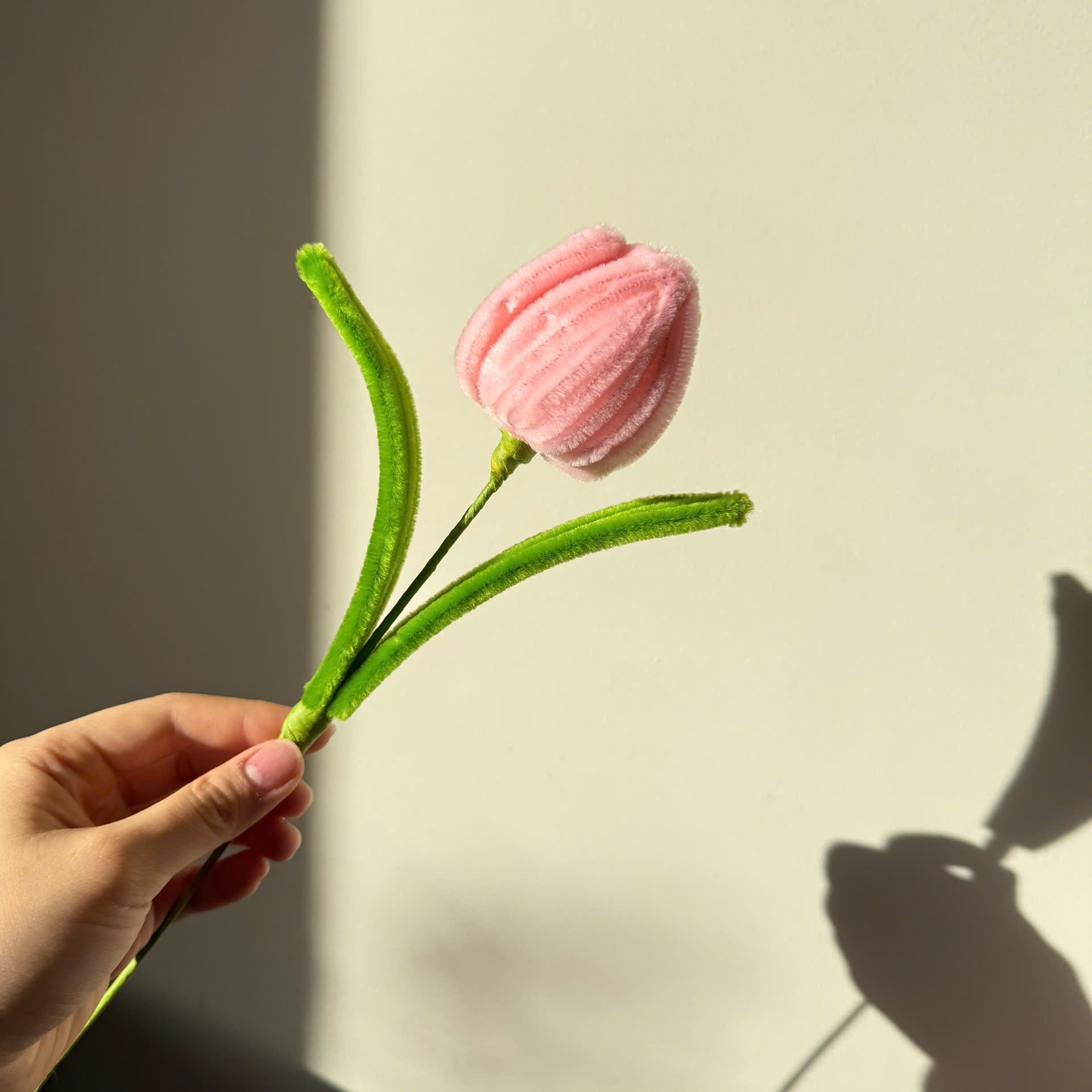 Tulip Tutorial