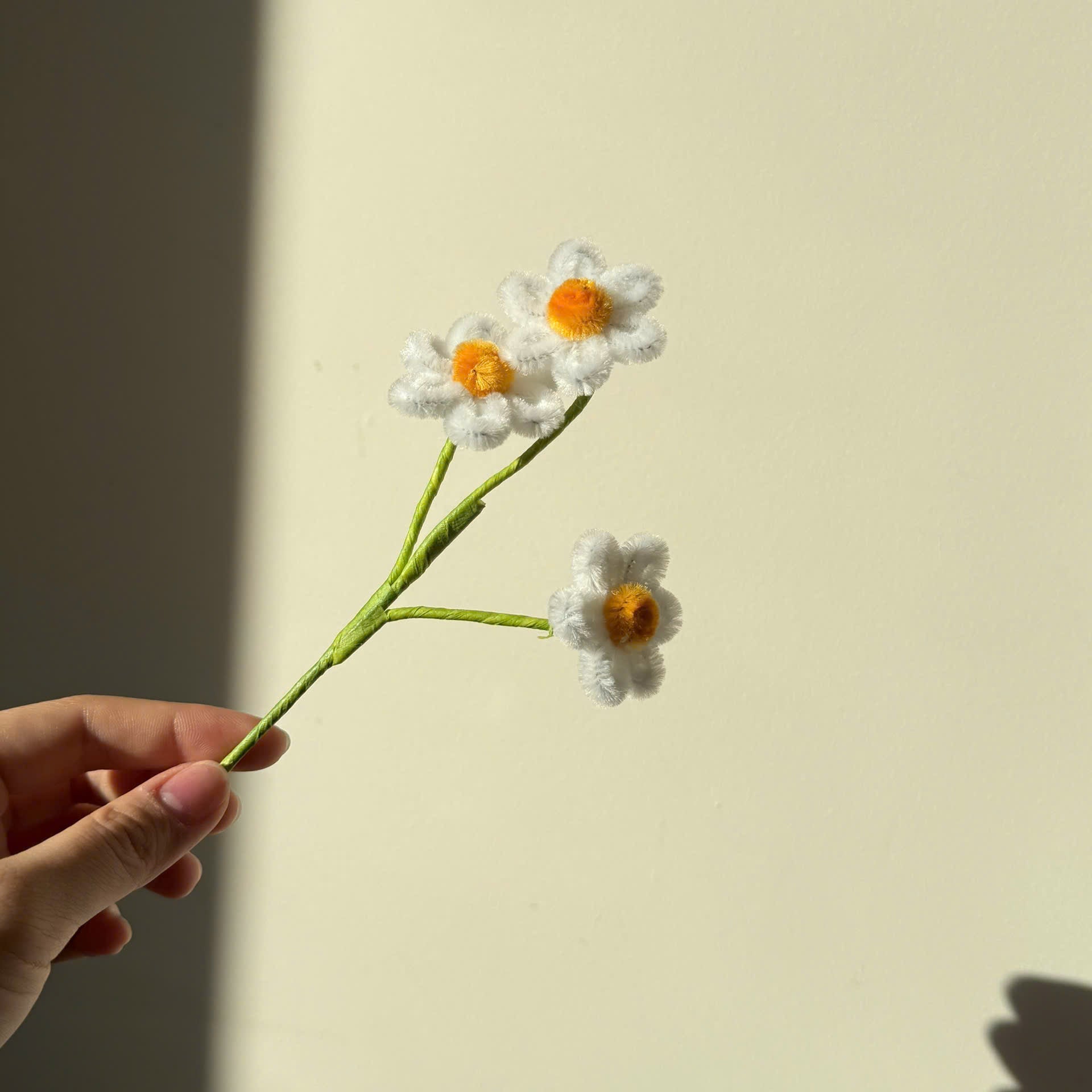 Daisy Tutorial