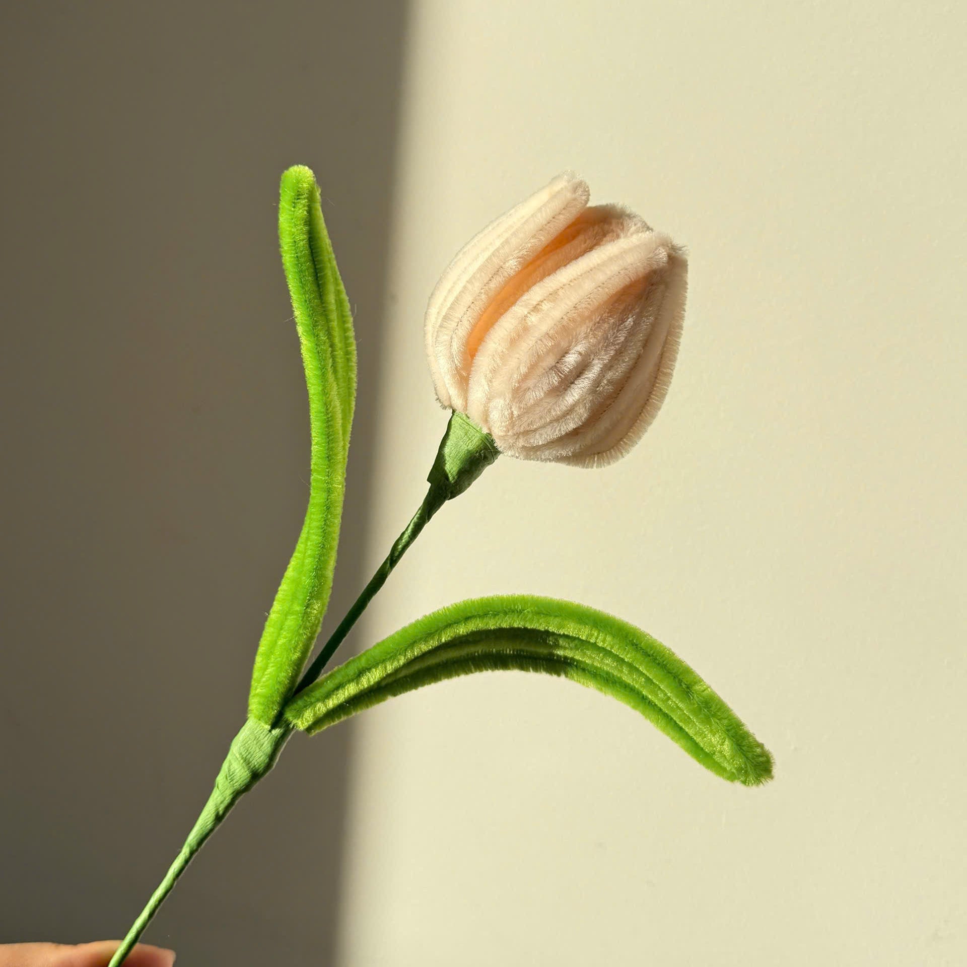 Tulip Tutorial