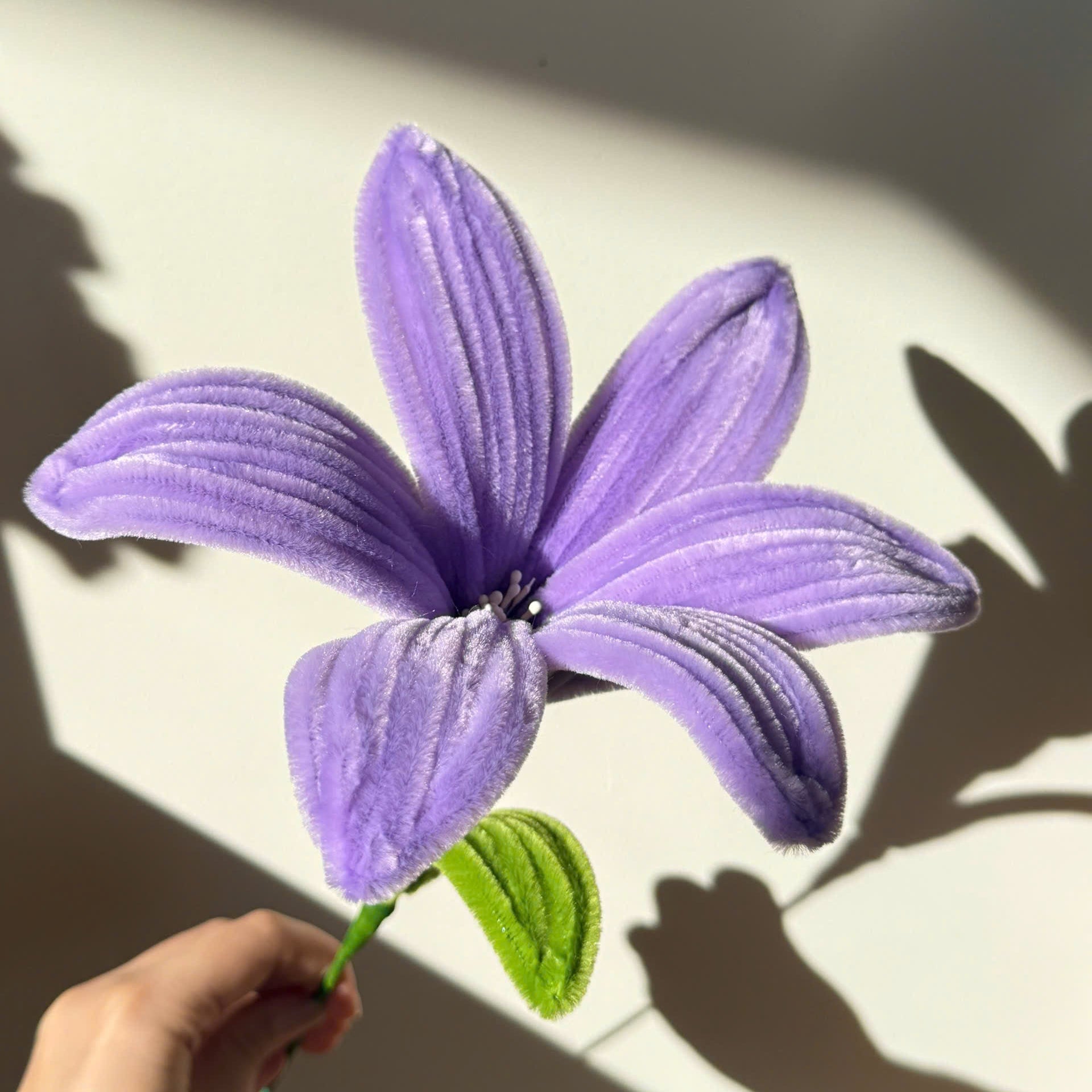 Lily Tutorial