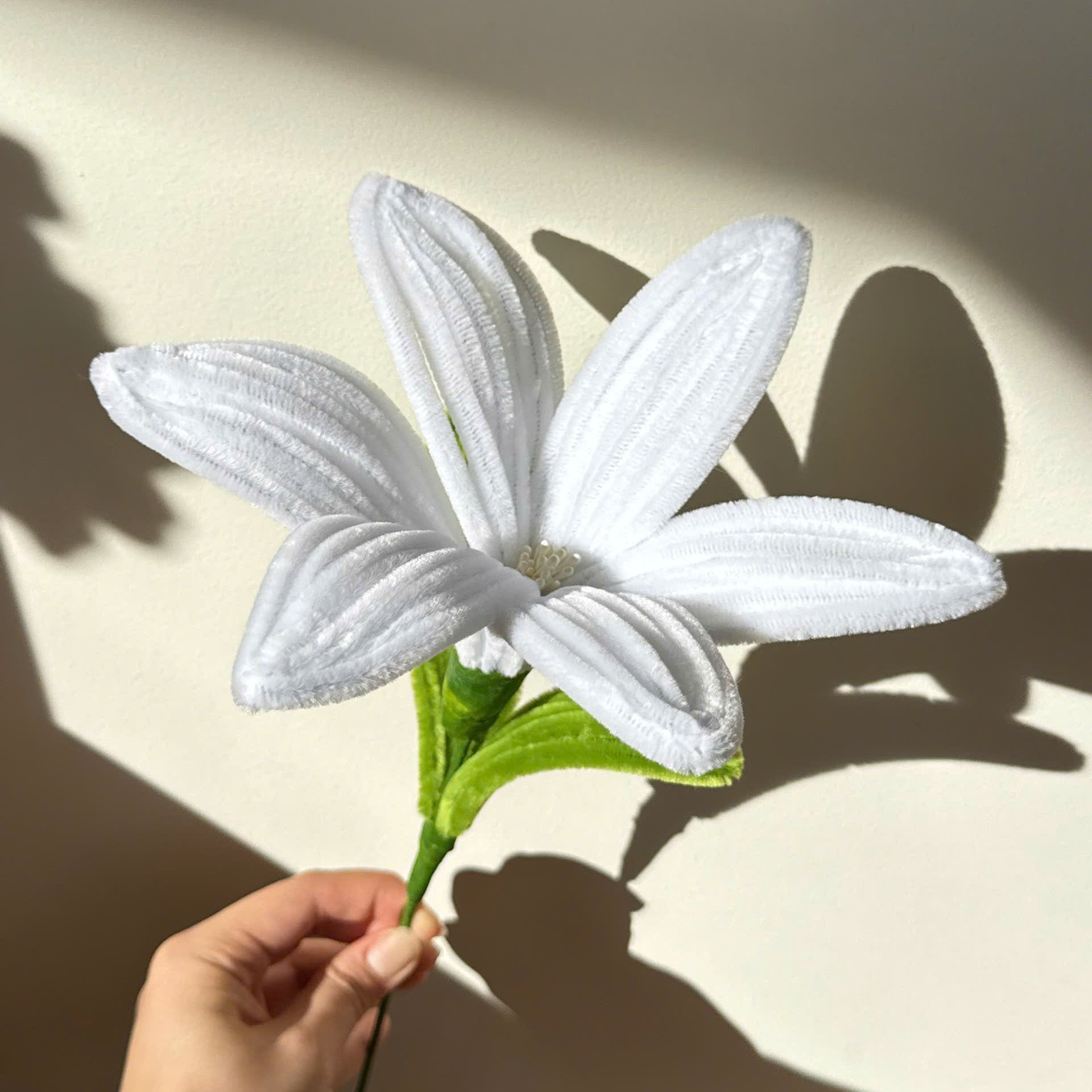 Lily Tutorial