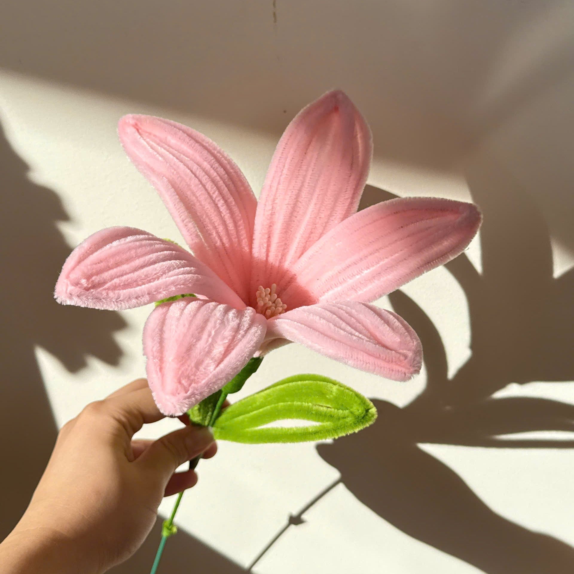 Lily Tutorial